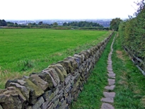 _Old_paved_path_-_geograph.org.uk_-_1536947